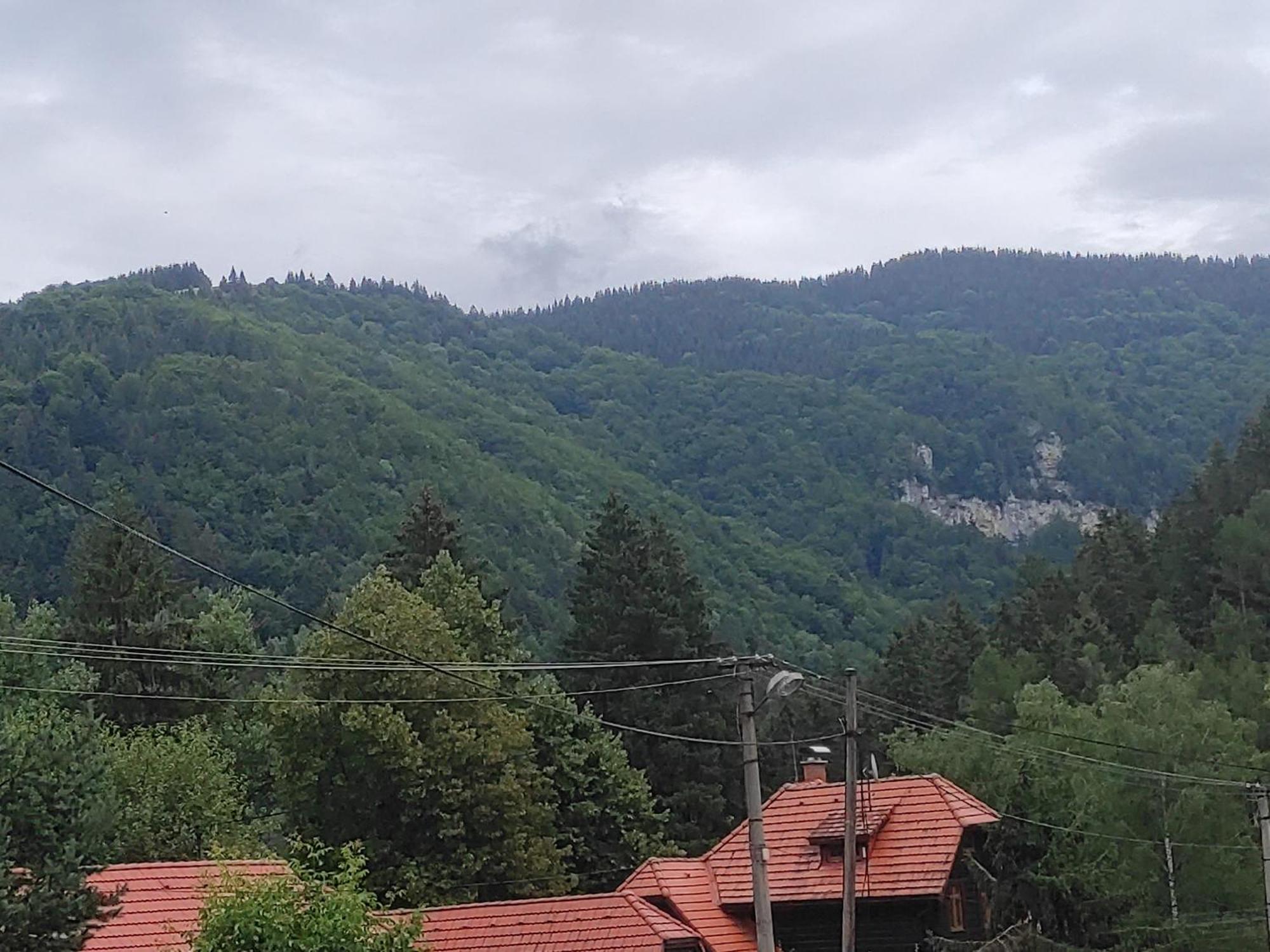 Penzion Smrekovica Ruzomberok Exteriör bild